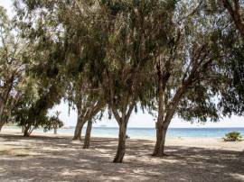Apartment Villajoyosa 